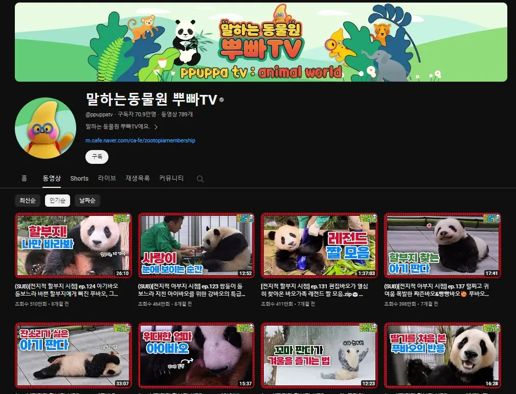 채널 인기 영상의 대부분은 모두 푸바오의 영상이다 (유튜브 채널 말하는 동물원 뿌빠 TV)